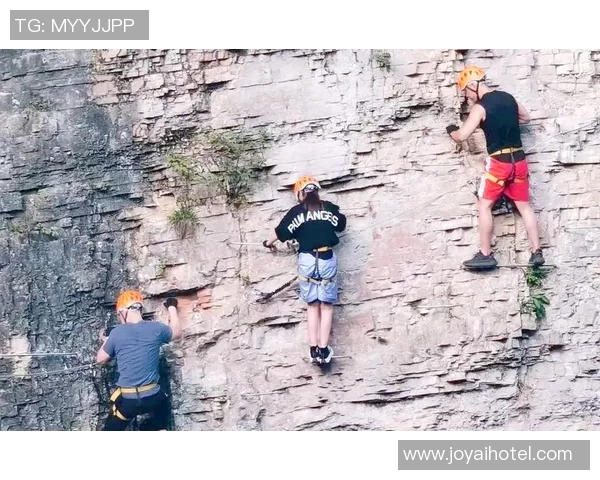 上海攀岩队速度对比深度解析与训练策略探讨