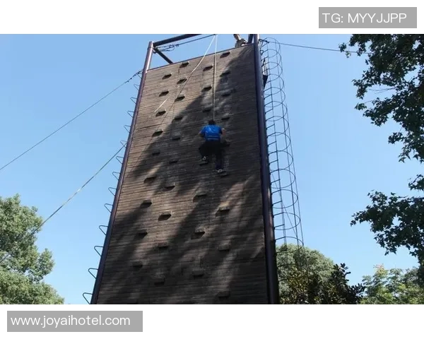 南京攀岩队实力揭秘：挑战极限的勇者之路与精彩瞬间