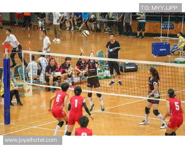 成都排球队在冠军赛中的精彩表现与实力分析