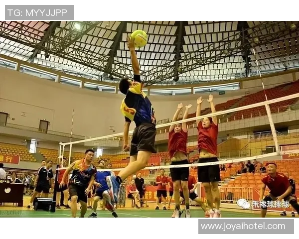 排球新手必看：全面掌握状态与技巧的入门指南