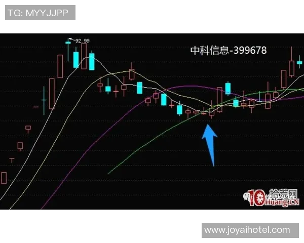 武汉篮球队意识对比分析：团队协作与个人能力的深度探讨