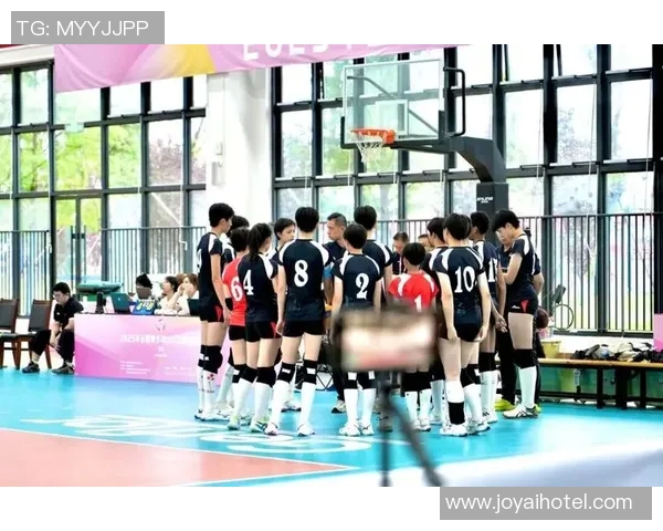 上海排球队的奋斗历程：一段不屈不挠的追梦之旅