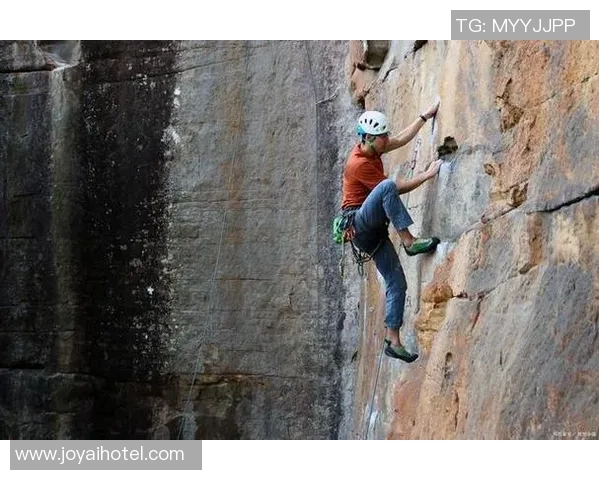 南京攀岩队的节奏与挑战探索攀岩运动的魅力与团队精神