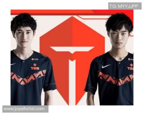 深入分析TES战队的运营策略与战术布局探讨