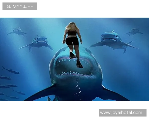 发电机与南部鲨鱼的较量谁能在力量与智慧中胜出 发电机与南部鲨鱼的较量谁能在力量与智慧中胜出