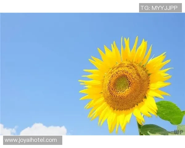 李添荣的成长之路：从平凡到卓越的奋斗故事与人生启示