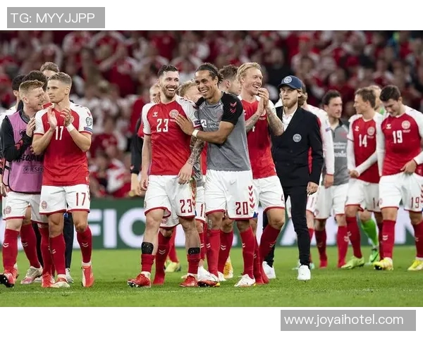 克罗地亚与丹麦精彩对决录像回放尽在优酷平台观看