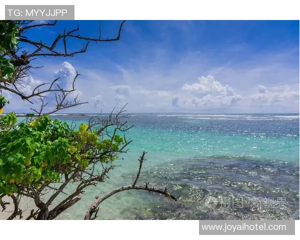 加州尔湾与夏威夷的文化碰撞与生活方式对比分析