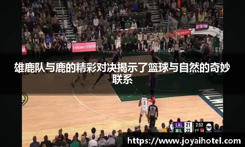 DB旗舰官网